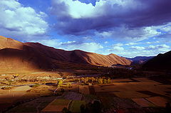 фото "~~~"
