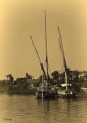 photo "Sail boats"