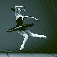 фото "танец черного лебедя"