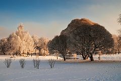 фото "Зимний день..."