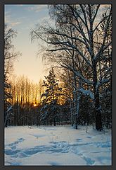 photo "Winter sunset"