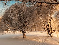 фото "Зима..."