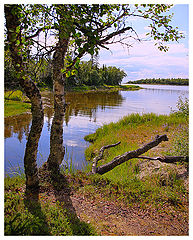 photo "***"