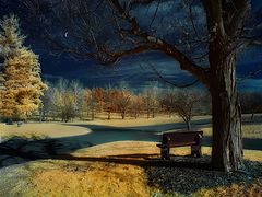 photo "Mystic Moonlight"
