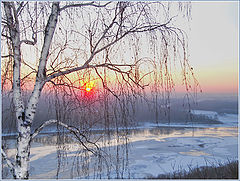 photo "***"