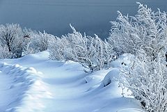 фото "Позаметало...."