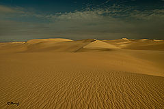 photo "Dunes 3"