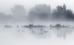 фото "Водорастворимость"