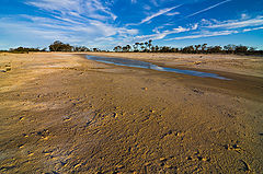 photo "Drought"