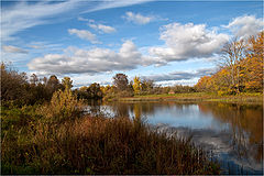 фото "У воды"