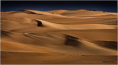 photo "Sand Dunes"