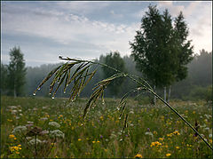 фото "Утро. Скоро в полёт"