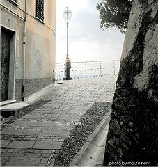 фото "the lamp"