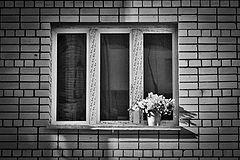 фото "Одно окно"