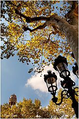 photo "Barcelona sketches- 2"