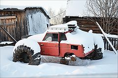фото "" Подснежник ""