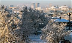 photo "winter Morning"