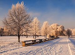 фото "В зимнем парке..."
