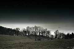 photo "***"