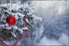 photo "Happy New Year!"