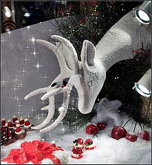 photo "Happy New Year!"