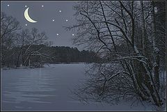 photo "Night"