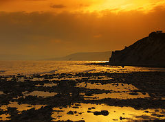 photo "Dreams of summer ..."