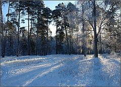 фото "Зимний вечер."