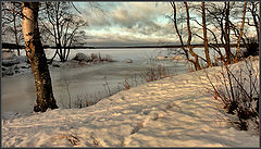 фото "Мартовский мотив в январе"