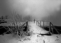 photo "***"