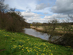 photo "Spring"