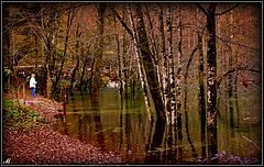 photo "On the path of life..."