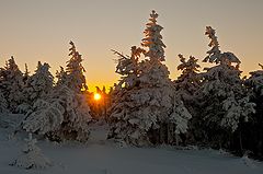 фото "Winter Sun"