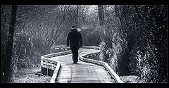 photo "Winter walk"