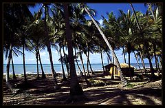 photo "Japaratinga Beach"