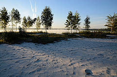photo "***"