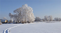 фото "Заморозило"