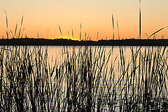 photo "***"
