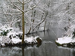 photo "First snow"