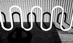фото "Study In Contrast"