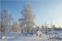 фото "На задворках"