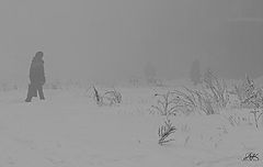photo "***"