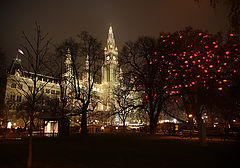 фото "Viena"