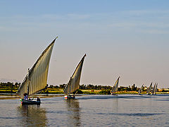 фото "LINE"