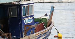 фото "in the port"