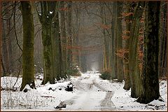 photo "***"