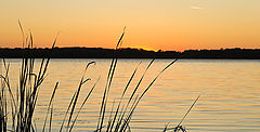 photo "***"