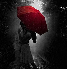 фото "The farewell... in a rainy day"