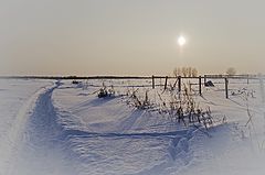 фото "Зимнее солнце"