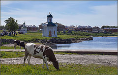 фото "на Соловках"